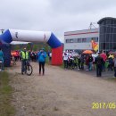 wstane 35